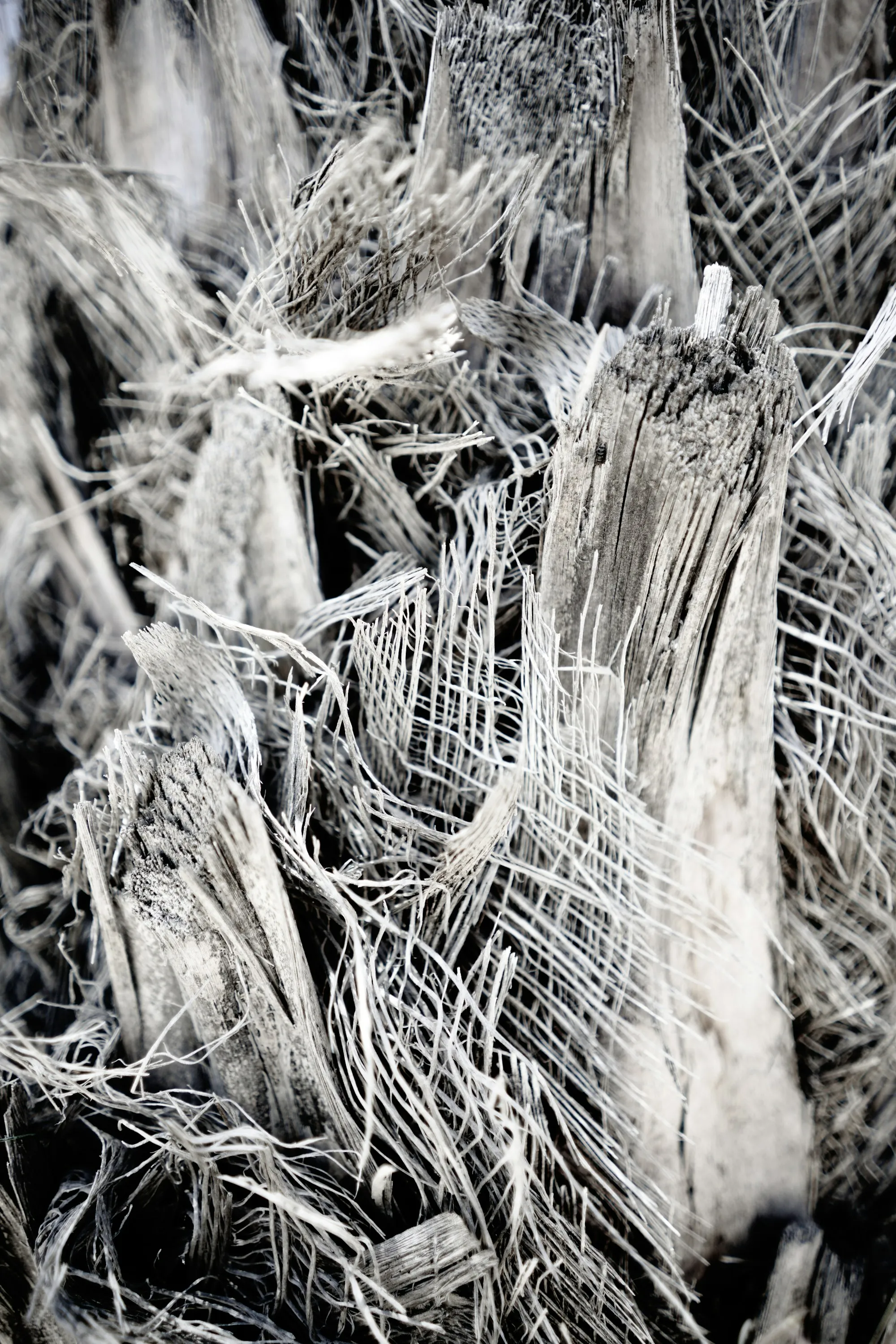 Magnified view of mineral fibers